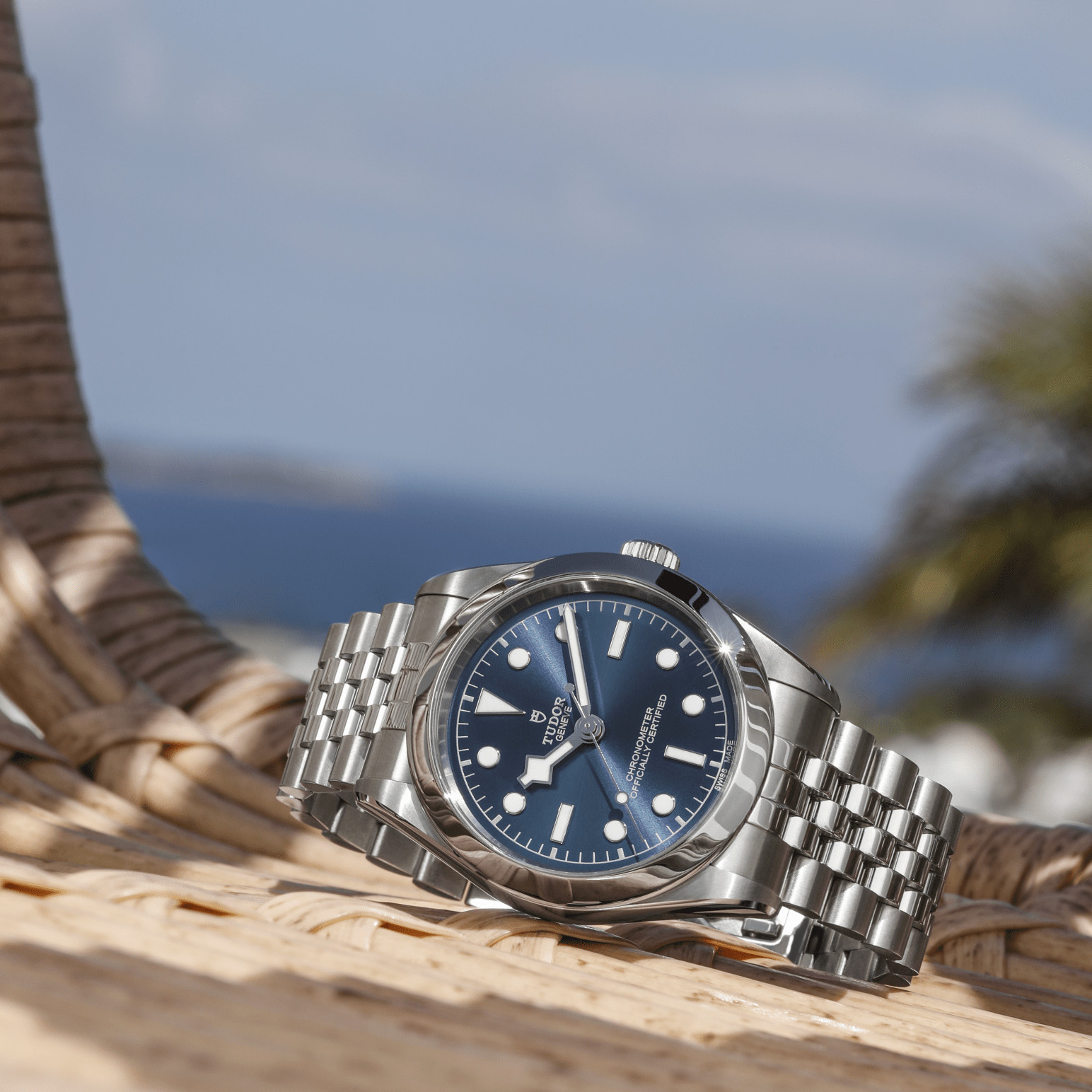 TUDOR Black Bay 39 M79660-0002 - Image 3