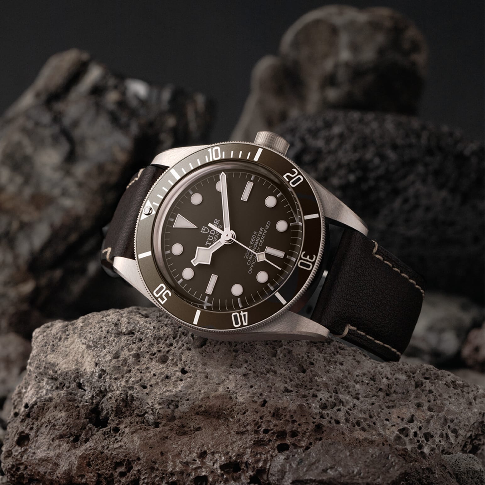 TUDOR Black Bay 58 925 M79010SG-0001 - Image 3