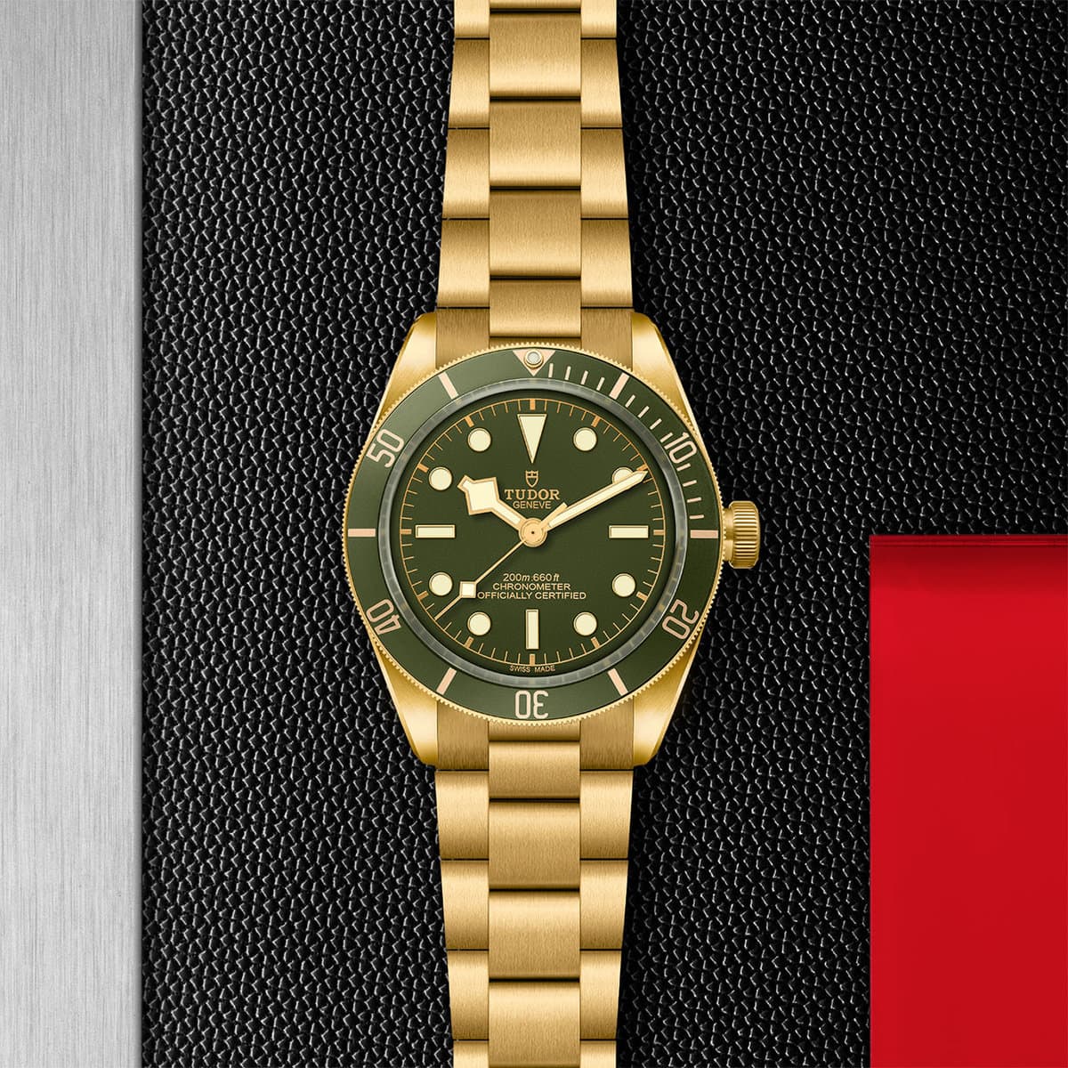 TUDOR Black Bay 58 18K M79018V-0006 - Image 3
