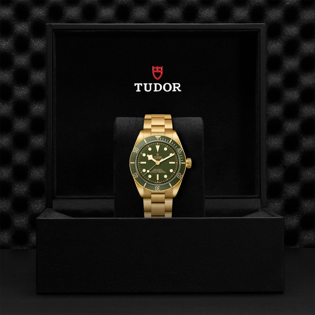 TUDOR Black Bay 58 18K M79018V-0006 - Image 5