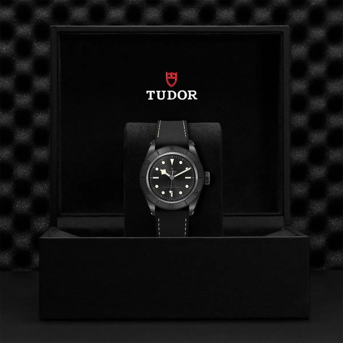 TUDOR Black Bay Ceramic M79210CNU-0001 - Image 5