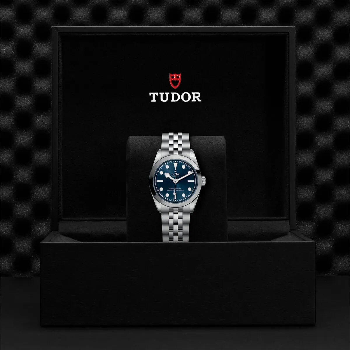 TUDOR Black Bay 31 M79600-0002 - Image 5