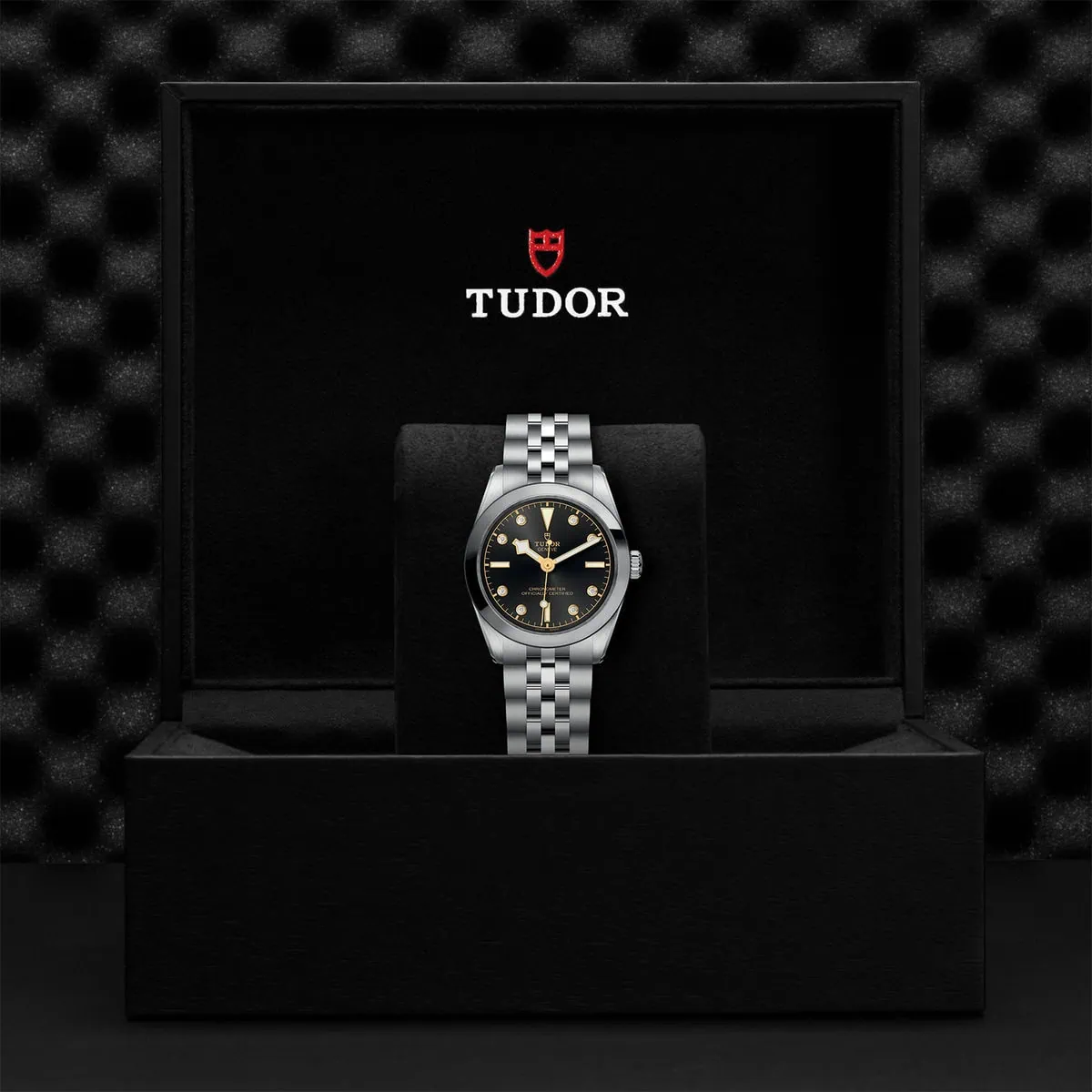 TUDOR Black Bay 31 M79600-0004 - Image 5