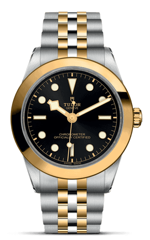 TUDOR Black Bay 39 S&G M79663-0001