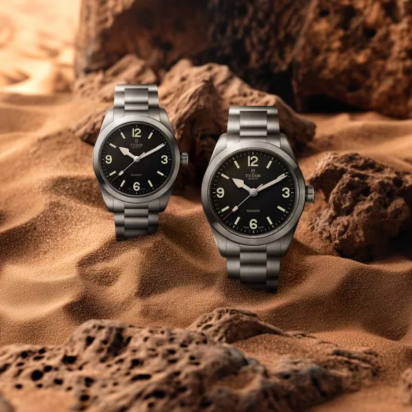 Tudor Ranger M79930-0001 - Image 3