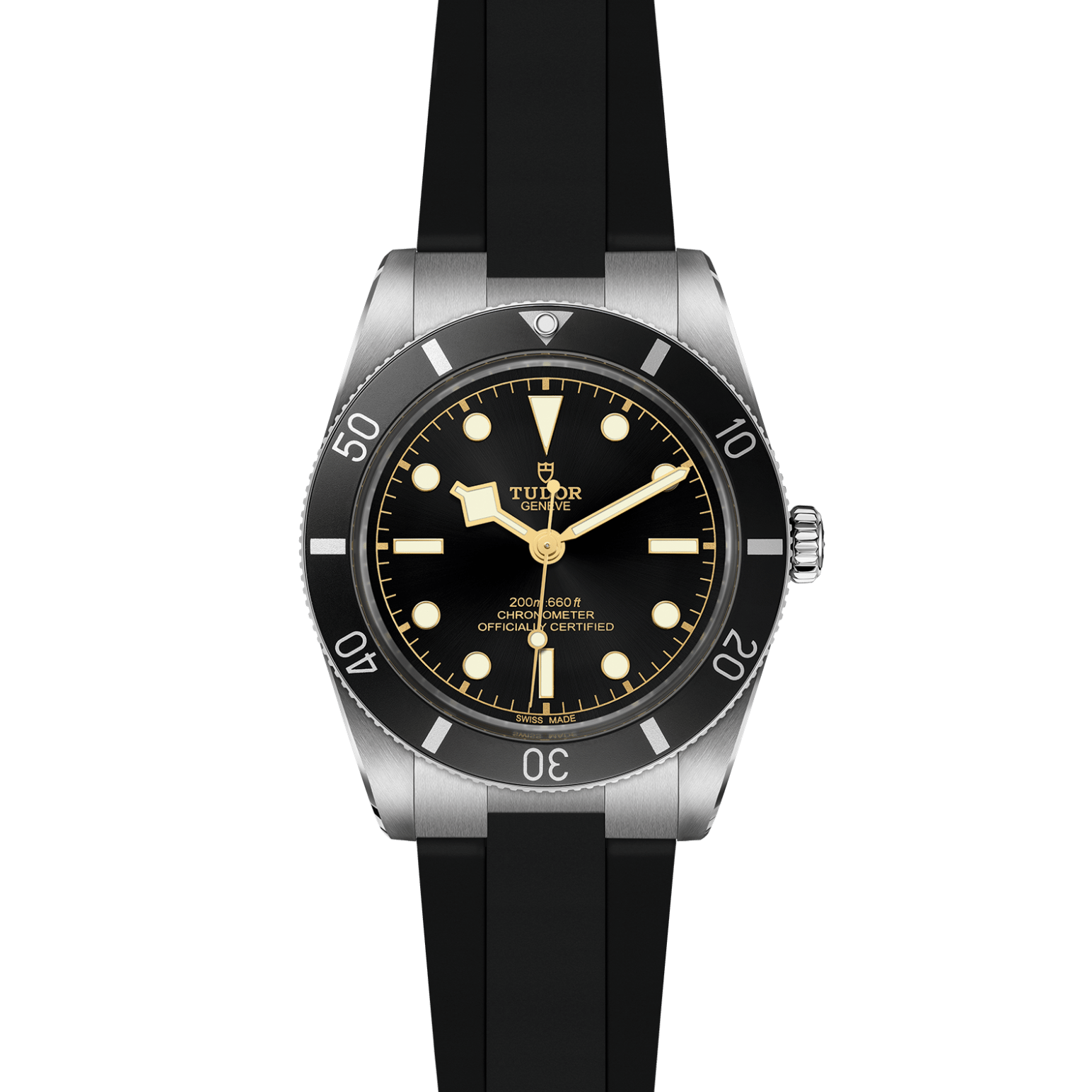TUDOR Black Bay 54 M79000N-0002