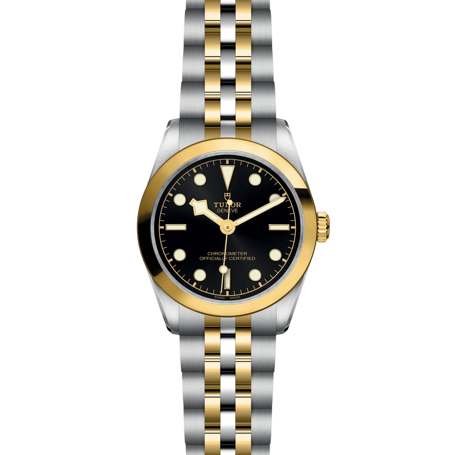 TUDOR Black Bay 31 S&G M79603-0001