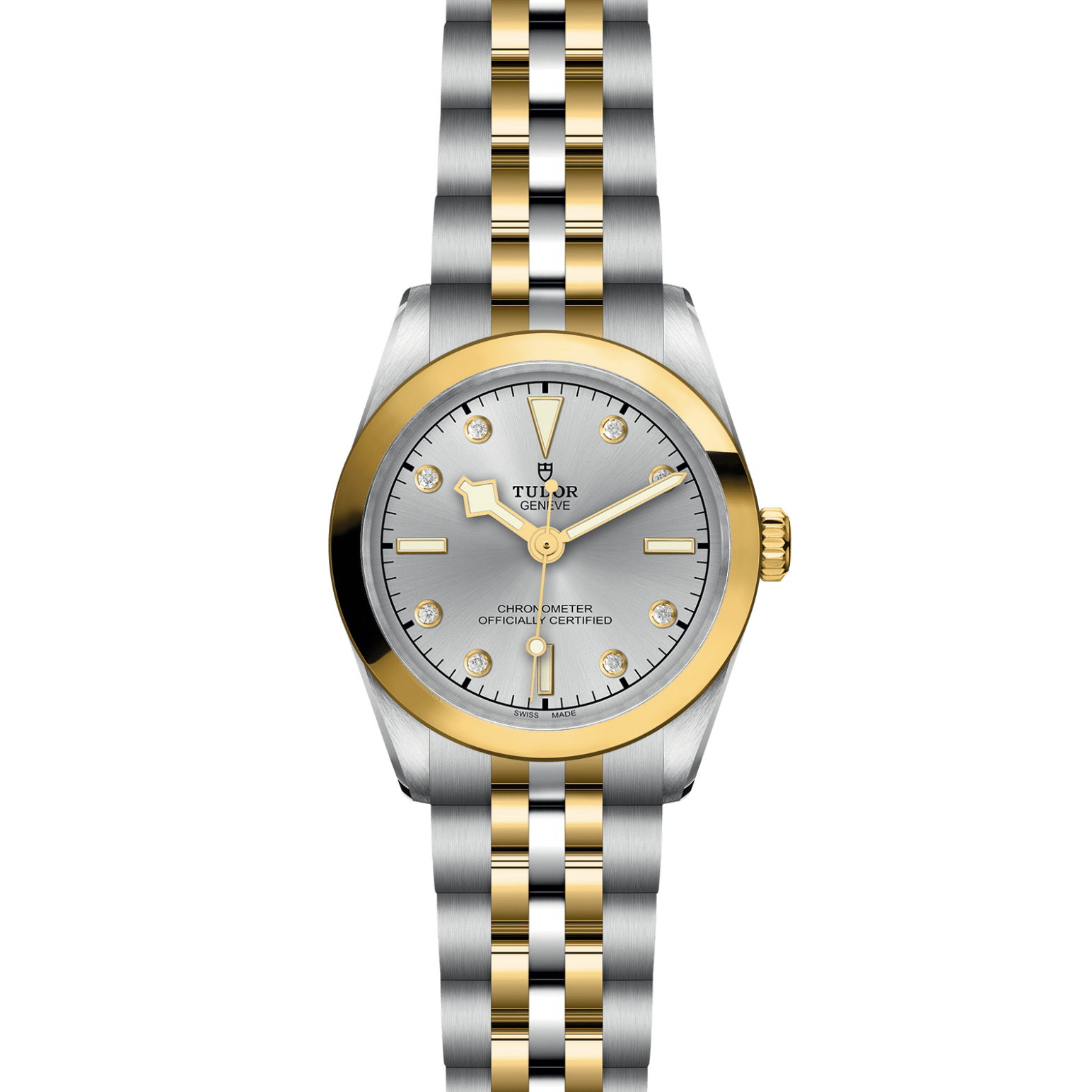TUDOR Black Bay 31 S&G M79603-0007