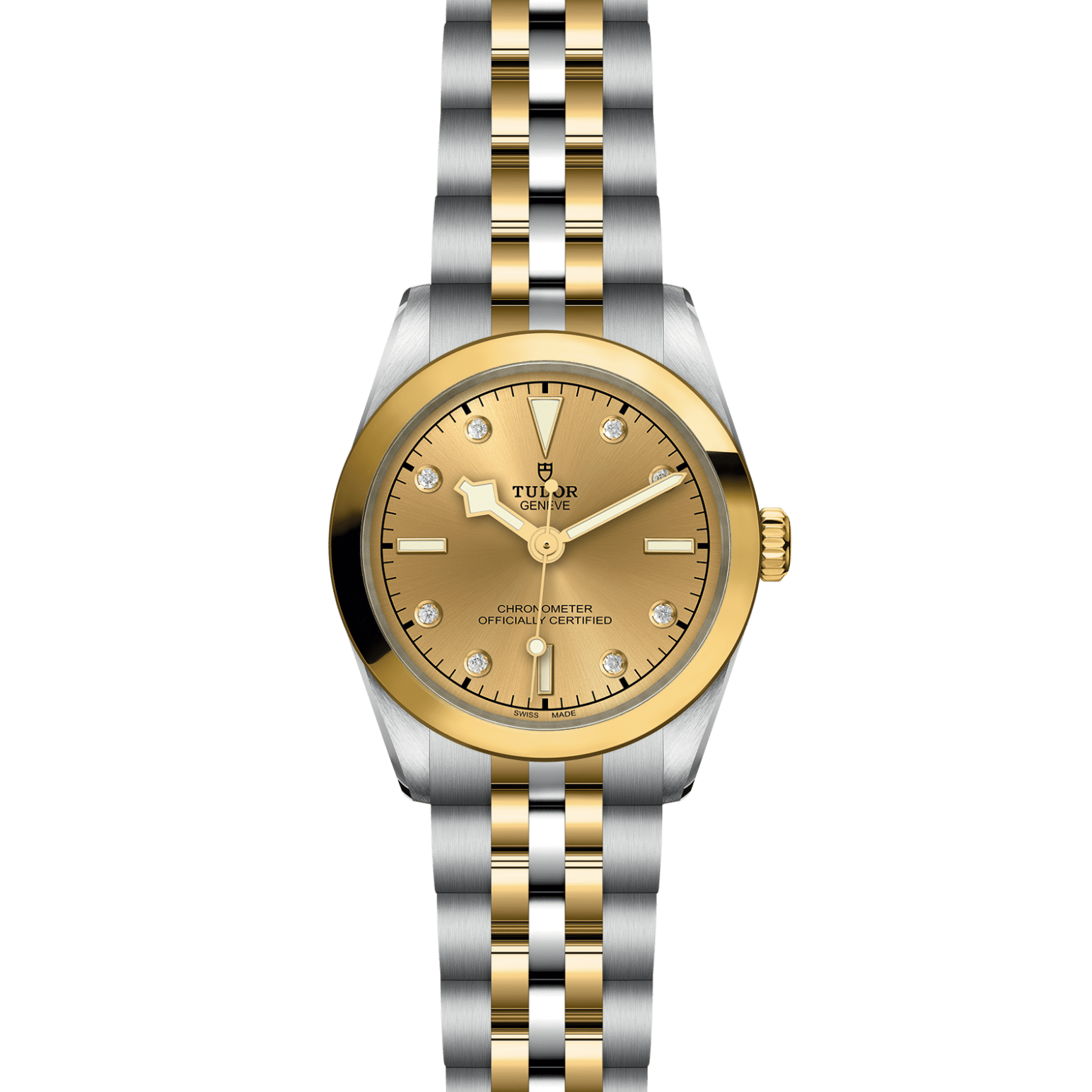 TUDOR Black Bay 31 S&G M79603-0008